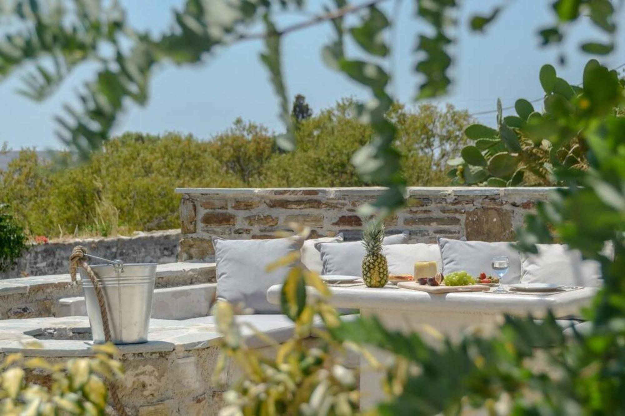 Villa Anthemion Naxos With Outdoor Jacuzzi Ano Sangrion Exteriér fotografie